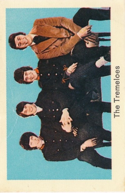 Tremeloes 1a - kopia